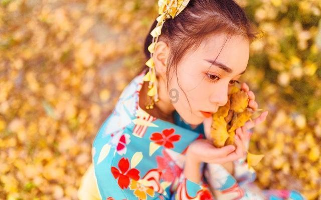 招手即停!洛阳多名私家车主组爱心车队免费接游客
