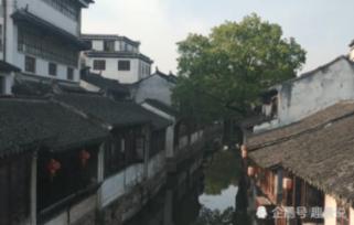 贪吃鼠吃豆豆
